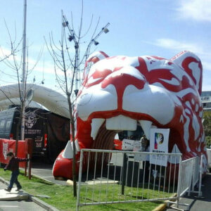 Túnel Cabeza de Tigre - Municipio de Tigre - Imagen 1