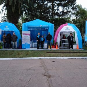 Gazebos Escobar Florece - Imagen 2