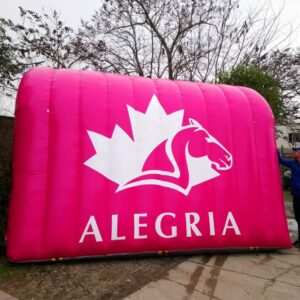 Carpa Alegría - Imagen 2