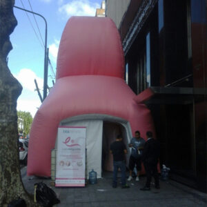 Carpa Cáncer de Mama - Imagen 2