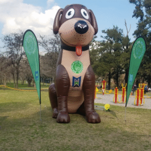 Perro - Escuela de Mascotas - Imagen 1