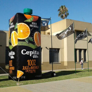 Cepita - Imagen 1