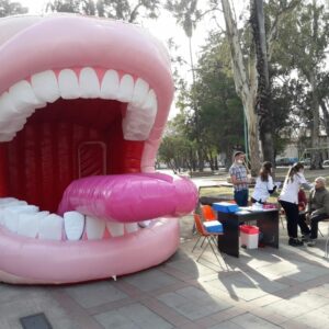 Carpa Boca - Imagen 1