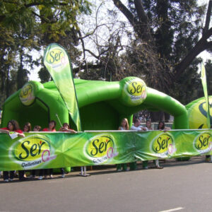 Carpas Ser - Imagen 3