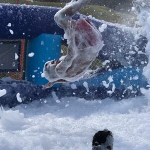 Cancha Multideportes - Imagen 4