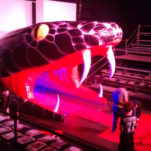 Pórtico Serpiente Blackmamba - Imagen 2