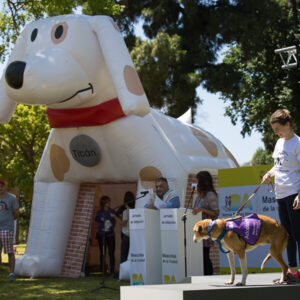 Carpas Perro y Gato - Jornada Adopción de Mascotas - Imagen 1