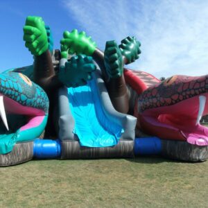 Tobogán Serpiente - Imagen 3