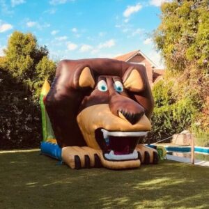 Castillo León Madagascar - Imagen 1