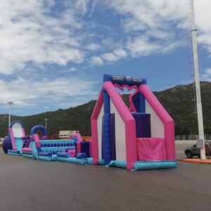 Carrera de Obstáculos - Deportes San Luis - Imagen 4