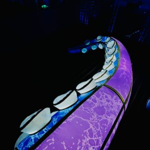 Animales iluminados - Imagen 3