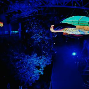 Animales iluminados - Imagen 2