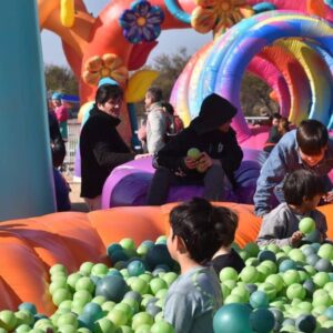 Parque Inflable Flores - San Nicolas - Imagen 6