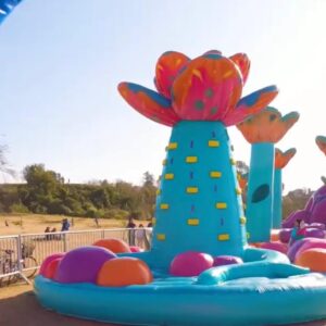 Parque Inflable Flores - San Nicolas - Imagen 7