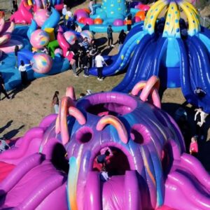 Parque Inflable Flores - San Nicolas - Imagen 2