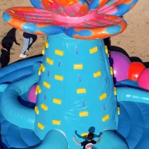 Parque Inflable Flores - San Nicolas - Imagen 3