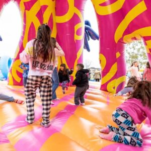 Parque Inflable Flores - San Nicolas - Imagen 8
