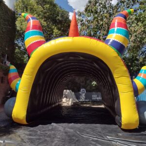 Túnel Diablo - Carnaval de Jujuy 2022 - Imagen 1