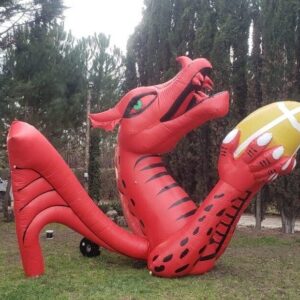 Dragón Gaiman - Club de Rugby - Imagen 1