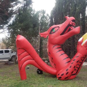 Dragón Gaiman - Club de Rugby - Imagen 4