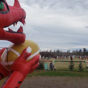 Dragón Gaiman - Club de Rugby - Imagen 2