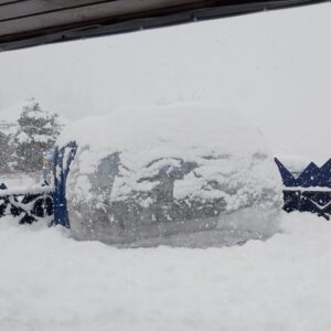 Burbuja en la Nieve - Imagen 2