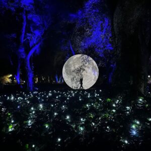Luna y Hombre Iluminados - The Secret Garden - Imagen 1