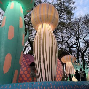 Fiesta Nacional de la Flor - Escobar - Imagen 3