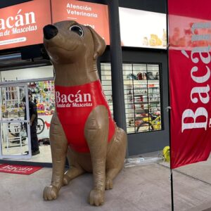 Perro Bacán - Imagen 1