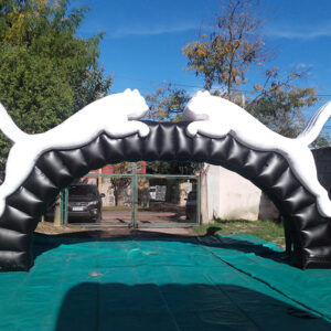 Arco Puma - Imagen 2