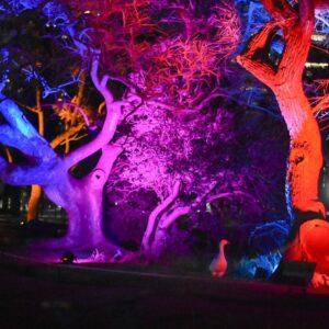 The Secret Garden 2024 - Imagen 7