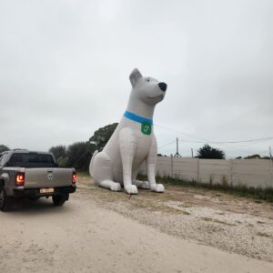 Perro Banco Provincia - Imagen 2