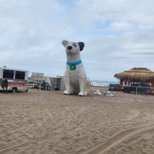 Perro Banco Provincia - Imagen 3