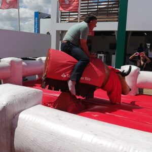 Toro Mecánico - Santander Rio - Imagen 4