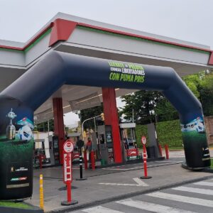 Arco Puma Pris - Imagen 3