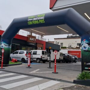 Arco Puma Pris - Imagen 1