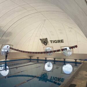 Globas para Piletas - Municipio de Tigre - Imagen 3