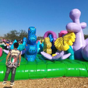 Parque Inflable San Nicoland - San Nicolás 2026 - Imagen 4
