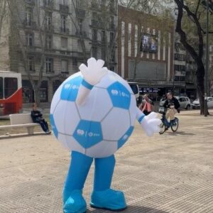 Pelota BNA - Imagen 1